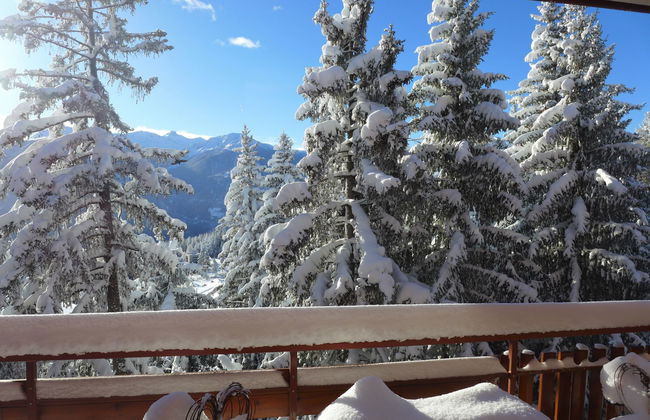 Apartamento de 2 quartos em Crans-Montana com terraço - Foto 42