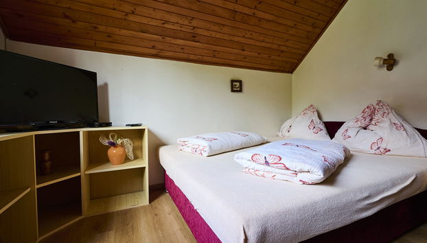 Appartamento con 2 camere da letto a Harrachov con giardino - Foto 2