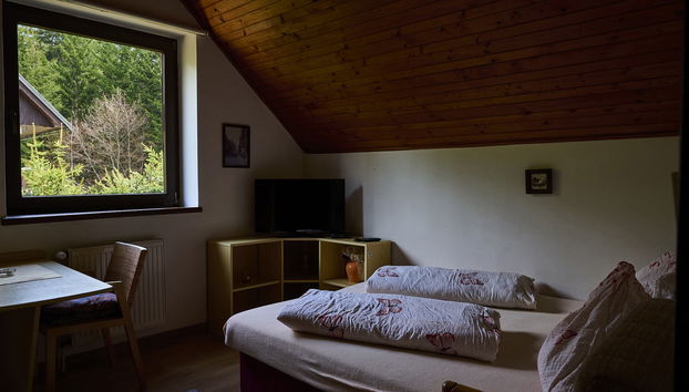 Appartamento con 2 camere da letto a Harrachov con giardino - Foto 3