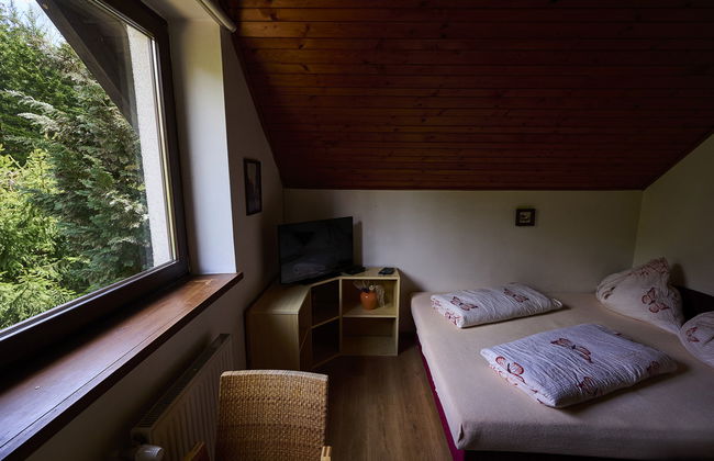 Apartamento de 2 quartos em Harrachov com jardim - Foto 8