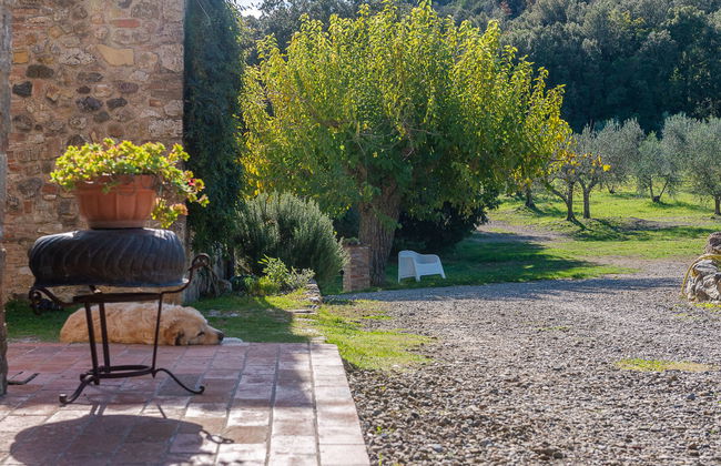 Maison de 4 chambres à Civitella Paganico avec piscine privée et jardin - Photo 69