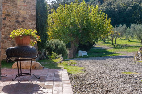 Foto 69 - Casa con 4 camere da letto a Civitella Paganico con piscina privata e giardino