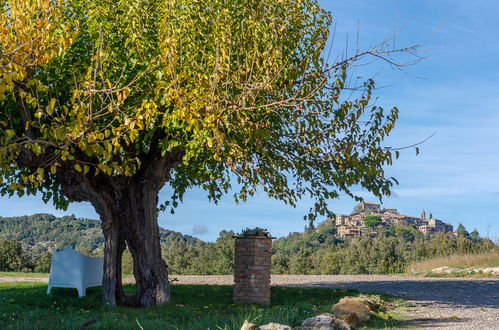 Foto 75 - Casa de 4 quartos em Civitella Paganico com piscina privada e jardim