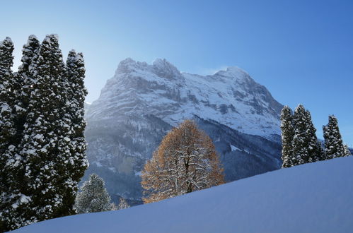 Photo 16 - 1 bedroom Apartment in Grindelwald with mountain view