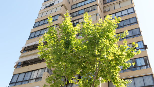 Apartamentos Gemelos 4 - Beninter - Foto 4