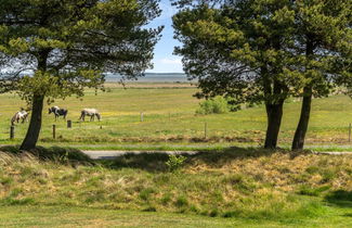 Foto 3 - Casa de 3 quartos em Blåvand com terraço