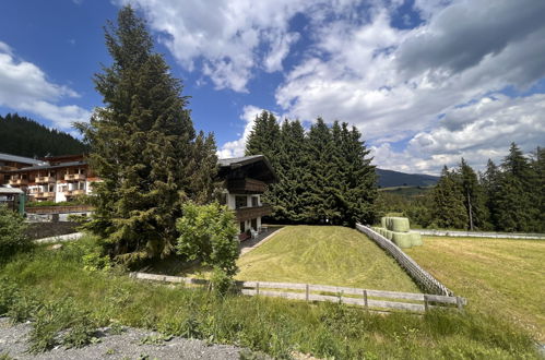 Photo 35 - Appartement de 2 chambres à Mittersill avec terrasse et vues sur la montagne