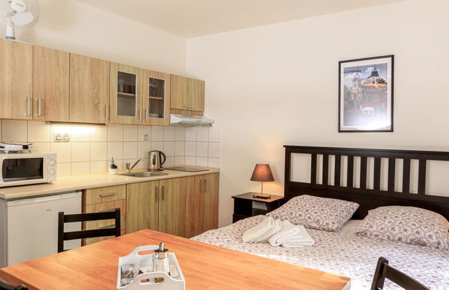 Apartamento de 1 quarto em Arnoltice com jardim e terraço - Foto 1