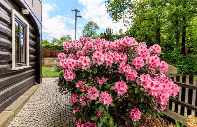 Apartamento de 1 quarto em Arnoltice com jardim e terraço - Foto 23
