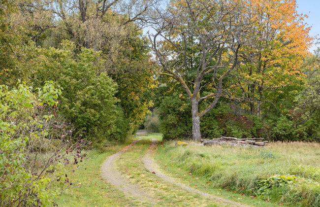 Casa de 4 quartos em Lammhult com jardim e banheira de hidromassagem - Foto 24
