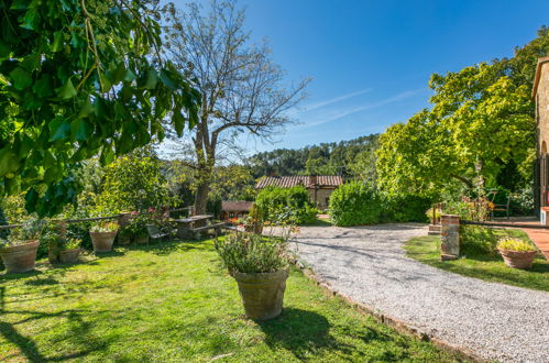 Photo 39 - Maison de 2 chambres à Trequanda avec piscine et jardin