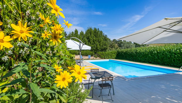 Haus mit 3 Schlafzimmern in Trequanda mit schwimmbad und garten - Foto 2