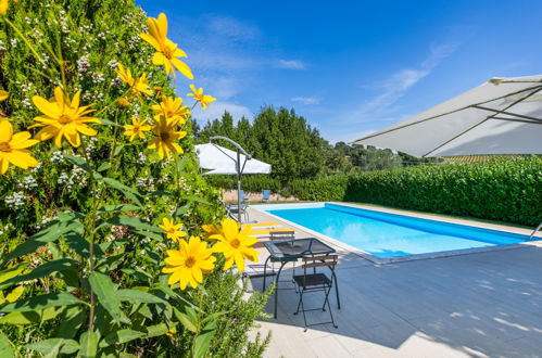 Photo 2 - Maison de 2 chambres à Trequanda avec piscine et jardin