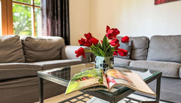Haus mit 4 Schlafzimmern in Frankenau mit garten und terrasse - Foto 3