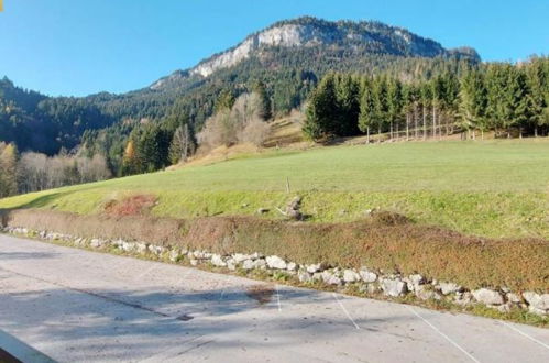 Photo 19 - Appartement en Bad Mitterndorf avec piscine et vues sur la montagne