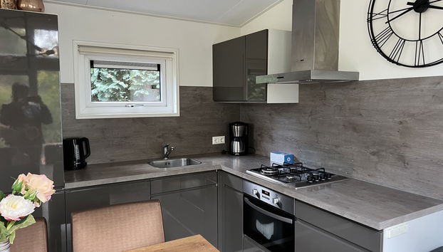 Haus mit 4 Schlafzimmern in IJhorst mit schwimmbad und terrasse - Foto 4