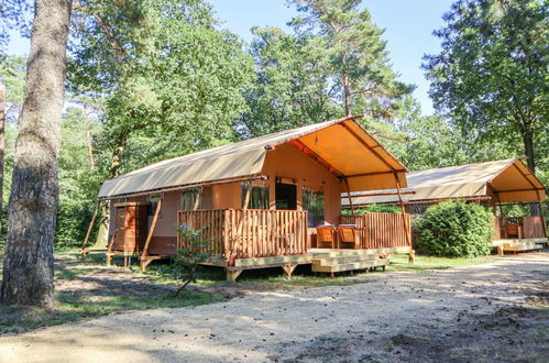 Foto 15 - Casa con 2 camere da letto a Otterlo con piscina e terrazza