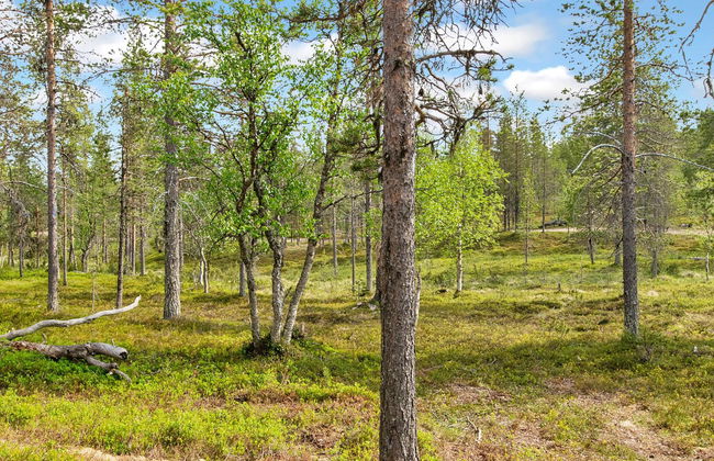 Haus mit 4 Schlafzimmern in Inari - Foto 24