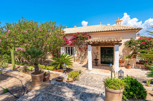 Foto 35 - Casa con 4 camere da letto a Ses Salines con terrazza