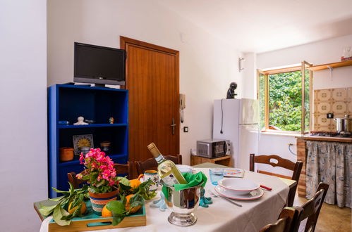 Photo 3 - 1 bedroom Apartment in Trappeto with garden