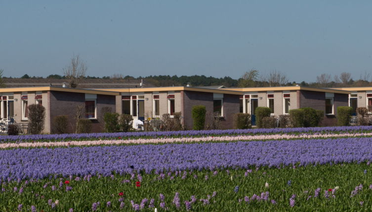 Foto 1 - Casa de 1 habitación en Noordwijkerhout con jardín y terraza