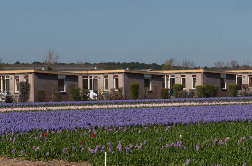 Photo 1 - Maison de 1 chambre à Noordwijkerhout avec jardin et terrasse