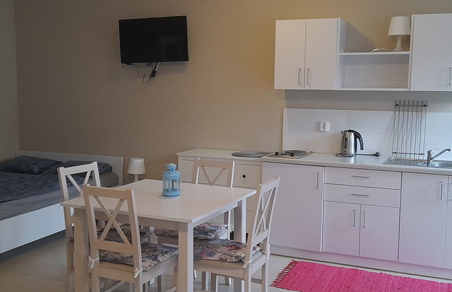 Apartamento de 2 quartos em Wolin com jardim e terraço - Foto 9
