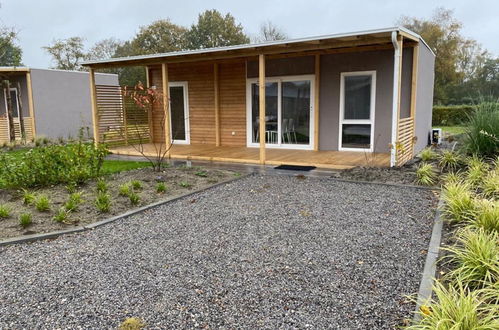 Photo 9 - Maison de 3 chambres à Biddinghuizen avec piscine et terrasse