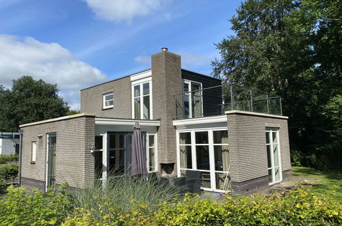 Photo 1 - Maison de 4 chambres à Hulshorst avec piscine et terrasse