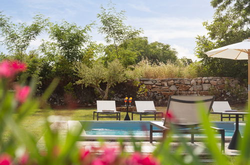 Photo 2 - Maison de 4 chambres à Sveti Lovreč avec piscine privée et jardin