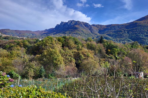 Foto 40 - Appartamento con 2 camere da letto a Capriasca con piscina e giardino