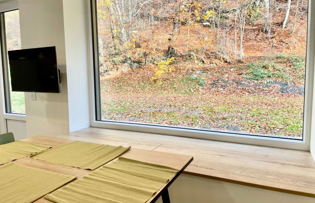 Apartamento de 1 quarto em Jáchymov com terraço - Foto 10