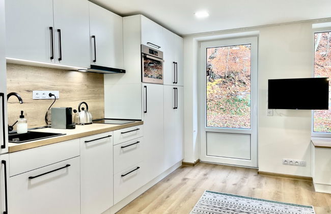 Apartamento de 1 quarto em Jáchymov com terraço - Foto 3