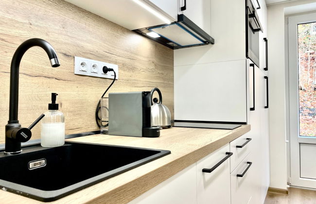 Apartamento de 1 quarto em Jáchymov com terraço - Foto 7