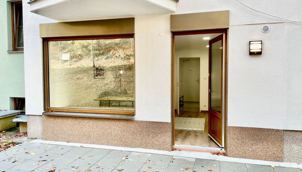 Apartment mit 1 Schlafzimmer in Jáchymov mit terrasse - Foto 5