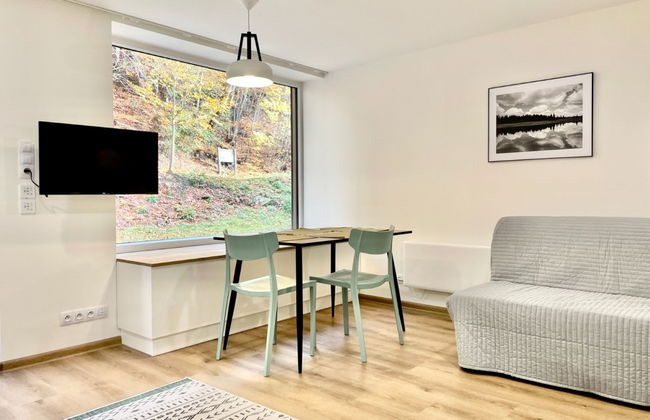 Apartamento de 1 quarto em Jáchymov com terraço - Foto 1
