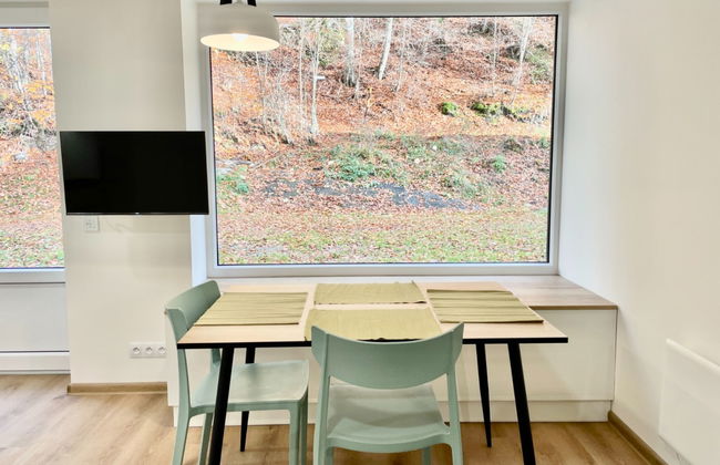 Apartamento de 1 quarto em Jáchymov com terraço - Foto 9