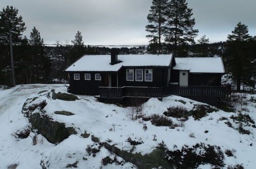 Foto 6 - Haus mit 3 Schlafzimmern in Åseral mit terrasse