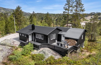 Photo 1 - 3 bedroom House in Åseral with garden and terrace