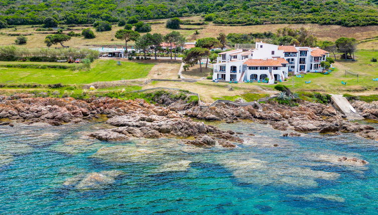 Photo 1 - Appartement de 1 chambre à Calcatoggio avec piscine et vues à la mer