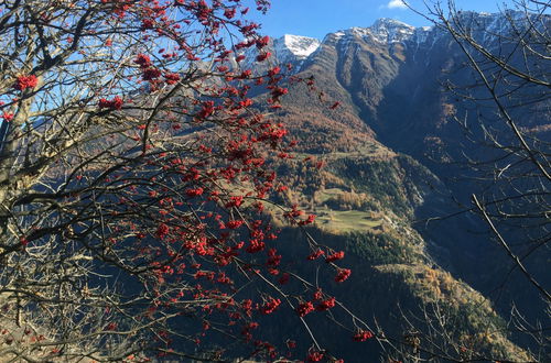 Foto 58 - Appartamento con 2 camere da letto a Riederalp