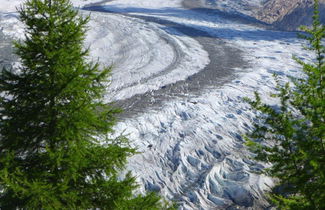 Foto 3 - Appartamento con 2 camere da letto a Riederalp