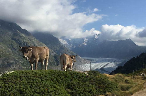 Foto 4 - Appartamento con 2 camere da letto a Riederalp