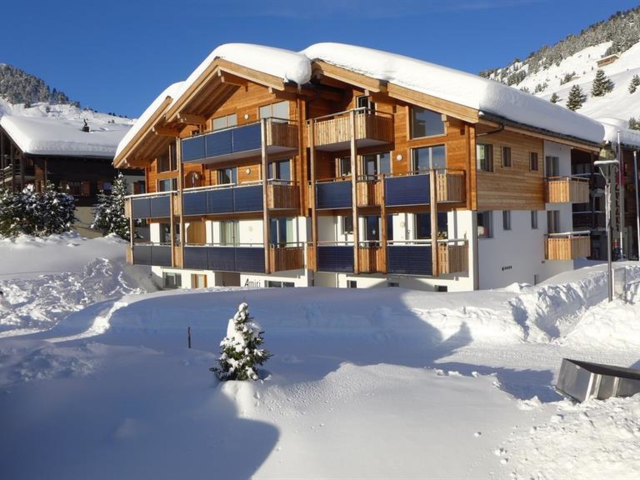 Foto 17 - Apartamento de 2 quartos em Riederalp