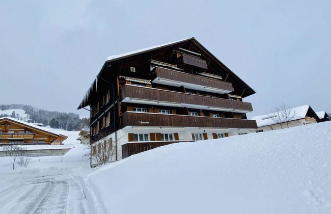 Apartamento de 2 quartos em Saanen - Foto 9