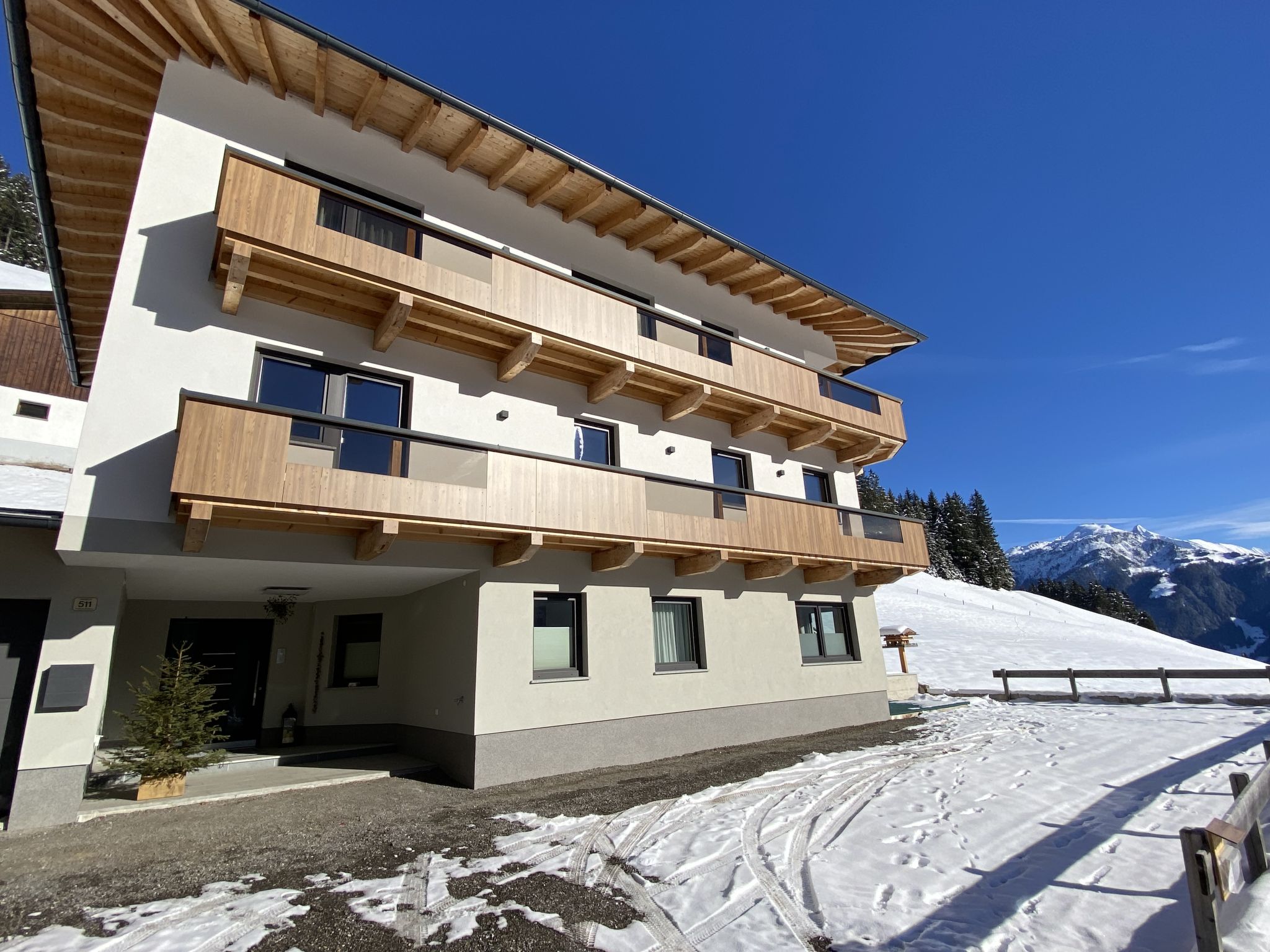 Photo 21 - Appartement de 1 chambre à Hippach avec jardin et vues sur la montagne