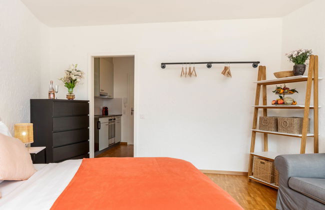 Apartamento de 1 quarto em Ascona - Foto 16
