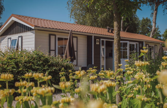 Casa de 1 quarto em Voorthuizen com piscina e jardim - Foto 6