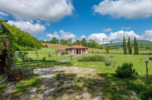 Foto 33 - Casa con 2 camere da letto a Montieri con piscina e giardino