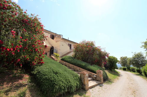 Foto 22 - Appartamento con 2 camere da letto a Massa Marittima con piscina e giardino